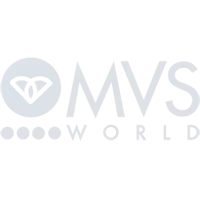 mvs logo 200 blue